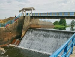 Bendungan Tampa: Permata Tersembunyi dengan Potensi Wisata, Persawahan, dan Perikanan yang Masih Belum Tersentuh